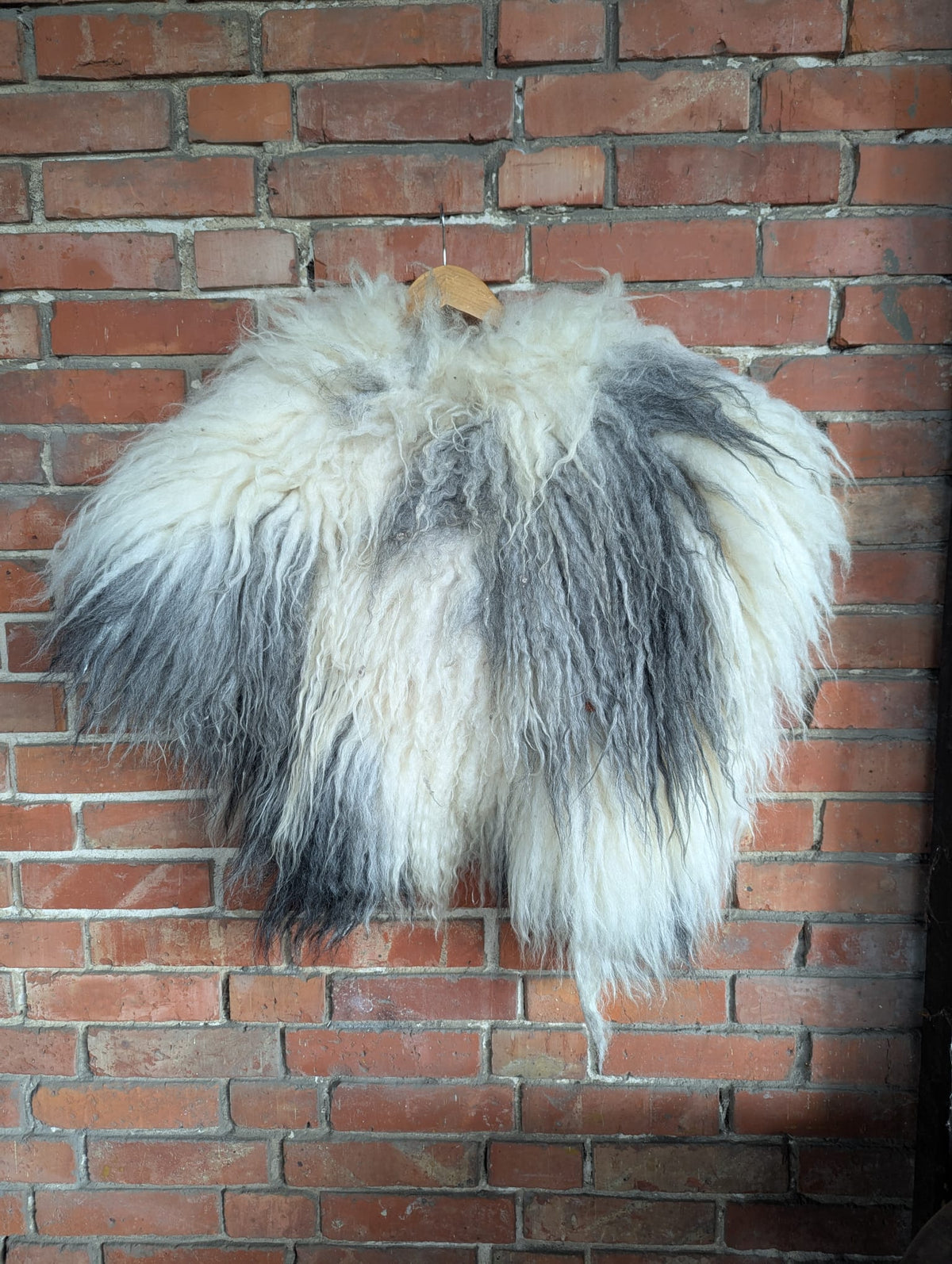 Viking Fur Cloak XXL White Grey – Real Scandinavian Sheepskin – Metal Brooch – Nordic Ice – Einzelstück 640