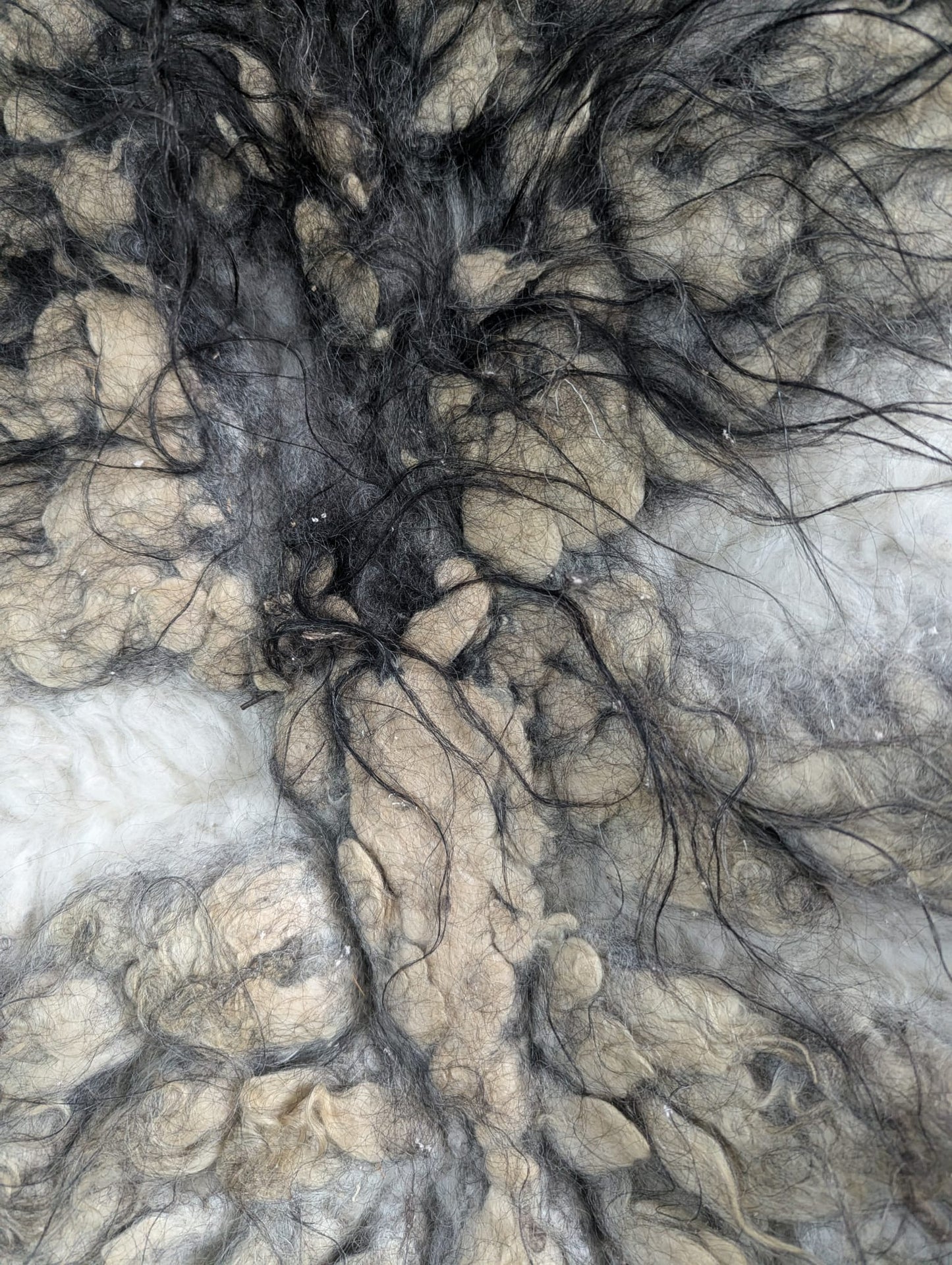 Viking Fur Cloak Mega XXL – Fellumhang Skandinavische Schnucke – Rustikal | Wild – Einzelstück 708