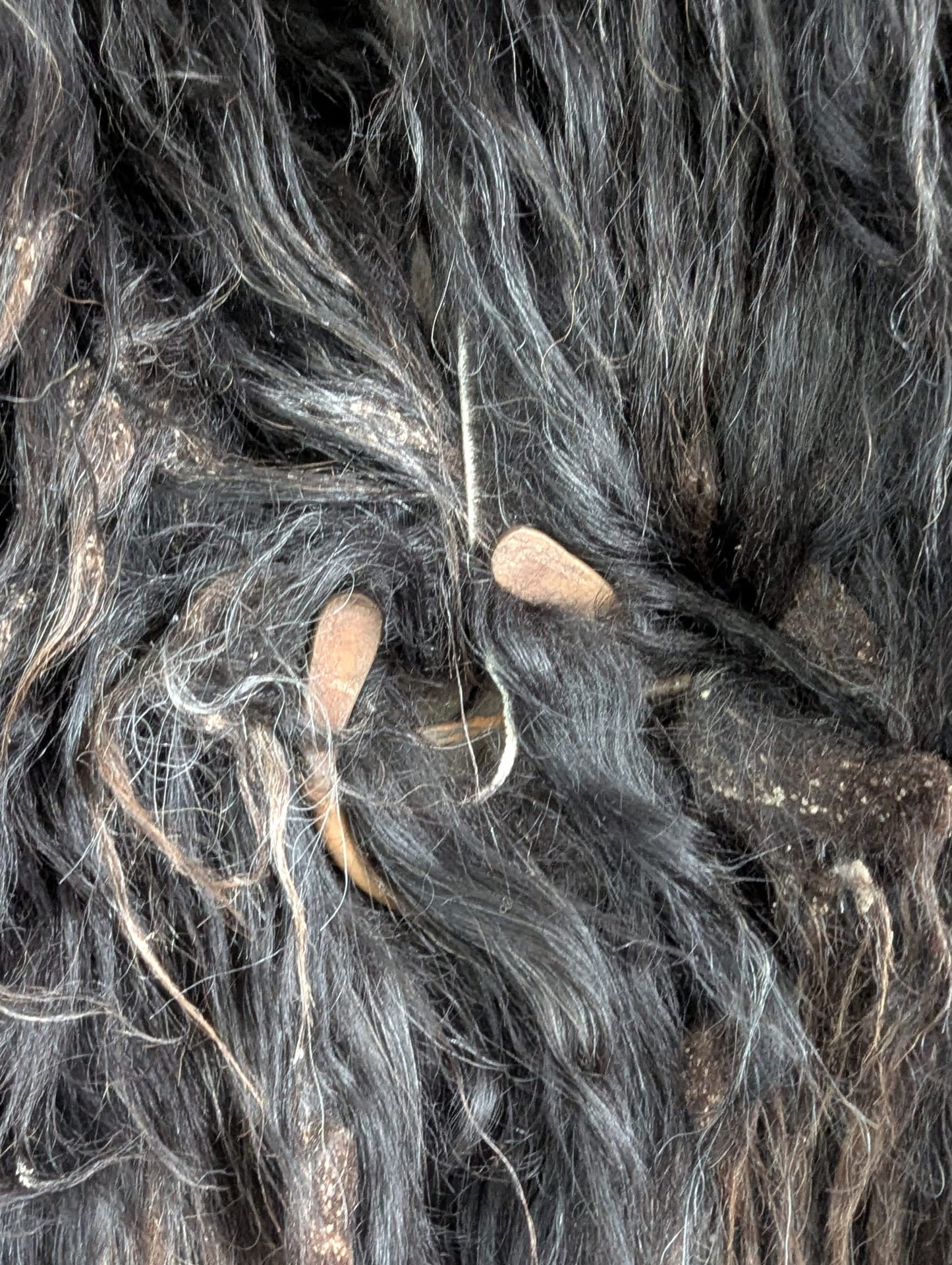 Viking Fur Cloak Black XL – Real Scandinavian Sheepskin – Wikinger Fellumhang – Einzelstück 741