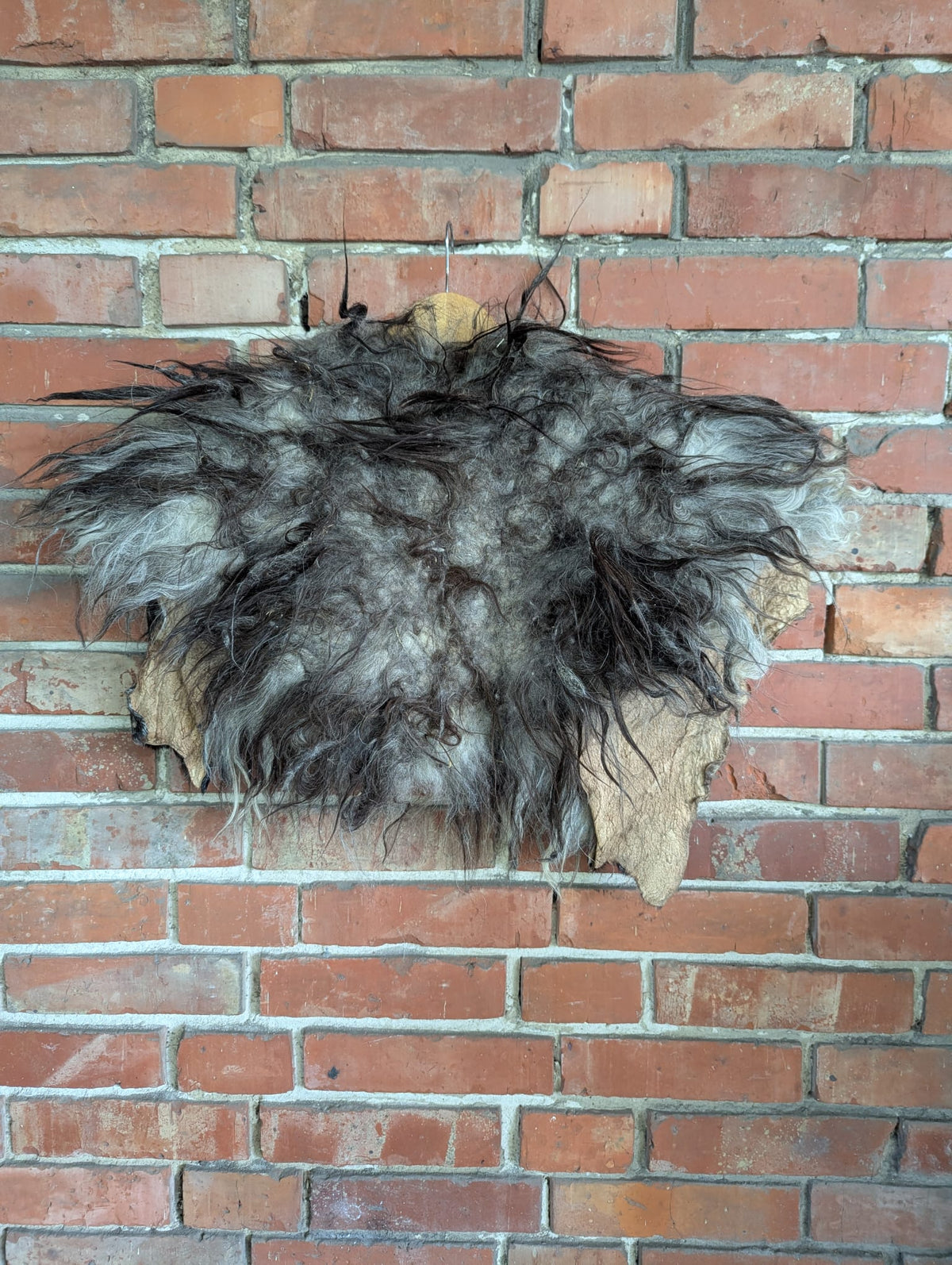 Wide Viking Shoulder Fur Grey – Real Heidschnucke Sheepskin – Wikinger Schulterfell – LARP Halloween – Einzelstück H20