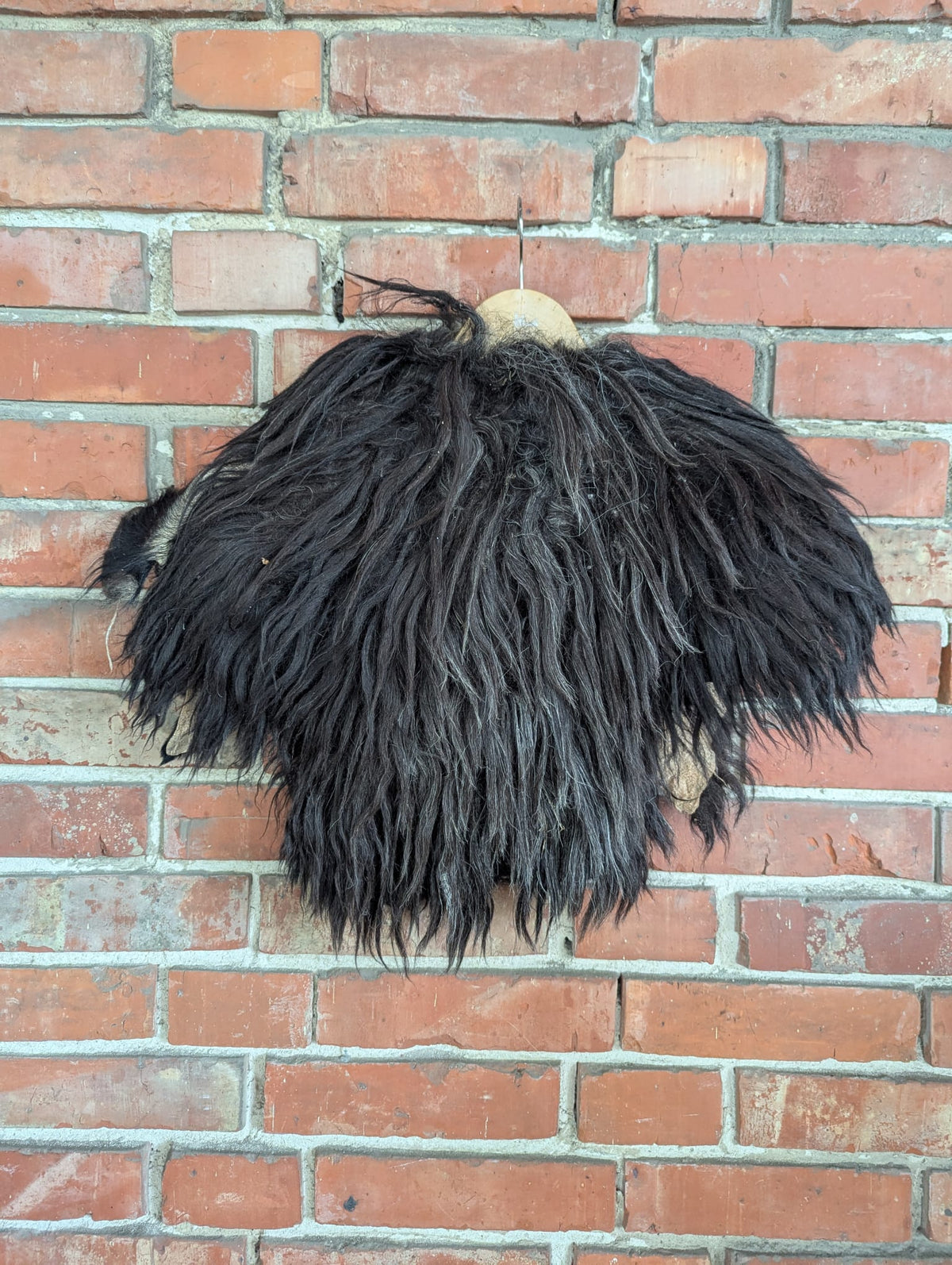 Viking Shoulder Fur Dark – Real Heidschnucke Sheepskin – Wikinger Schulterfell – Mittelalter Halloween – Einzelstück H6