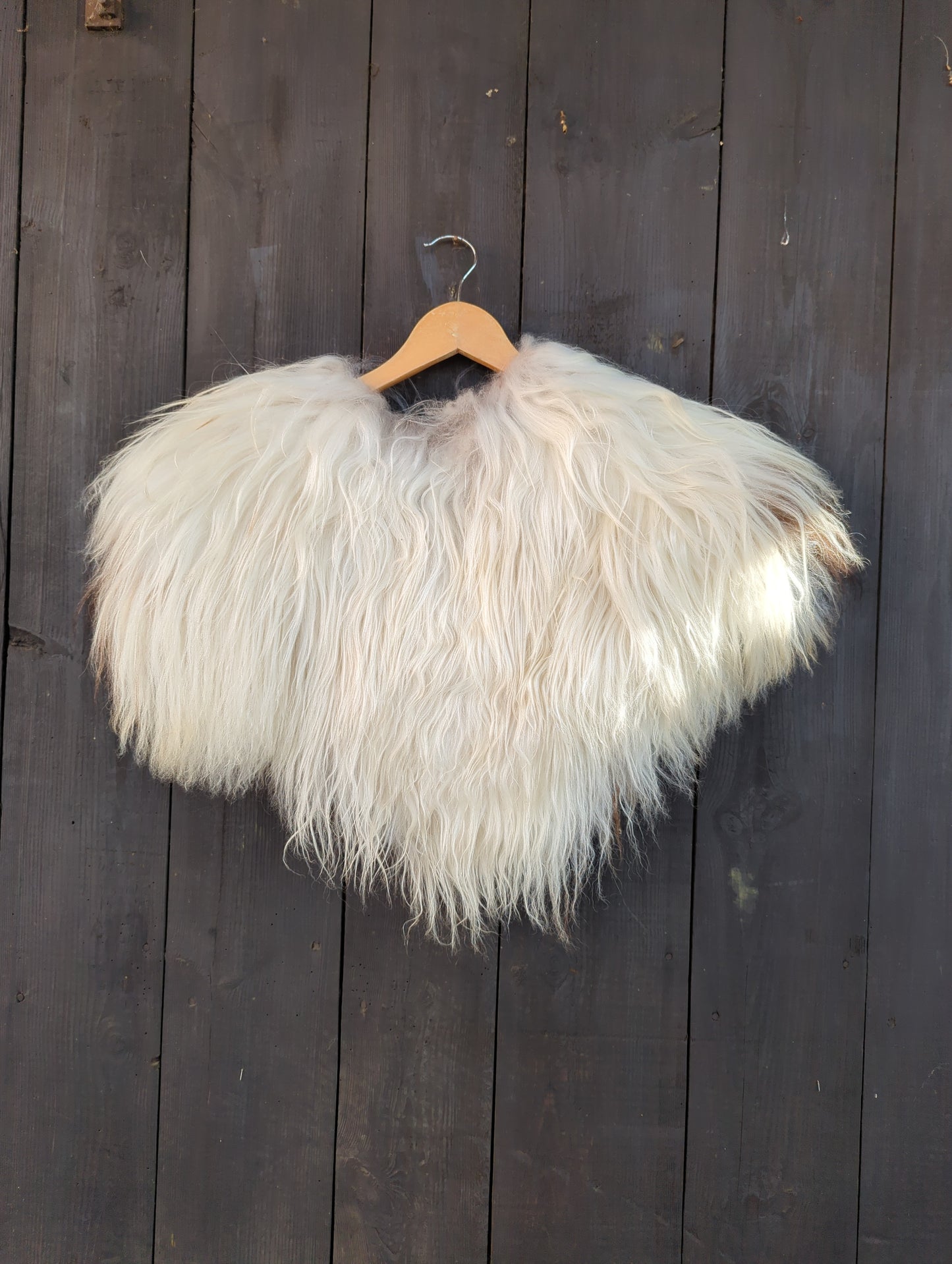 Schulterfell Islandschaf weiß mit braunen Partien Einzelstück 546