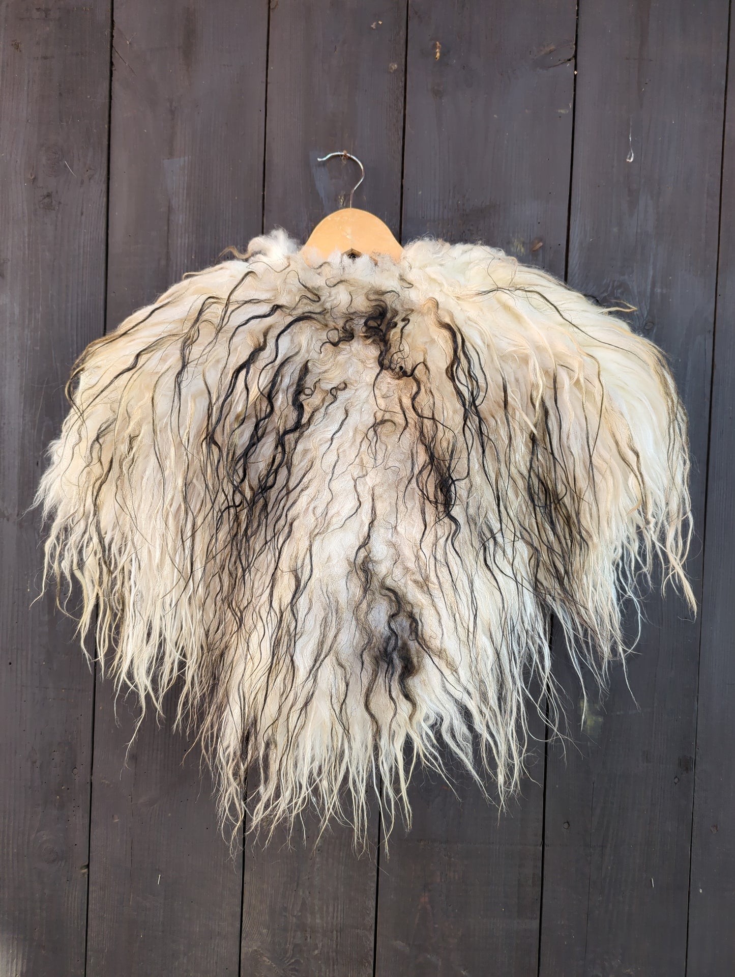 Fellumhang Islandschaf weiß schwarze Strähnen Einzelstück 549