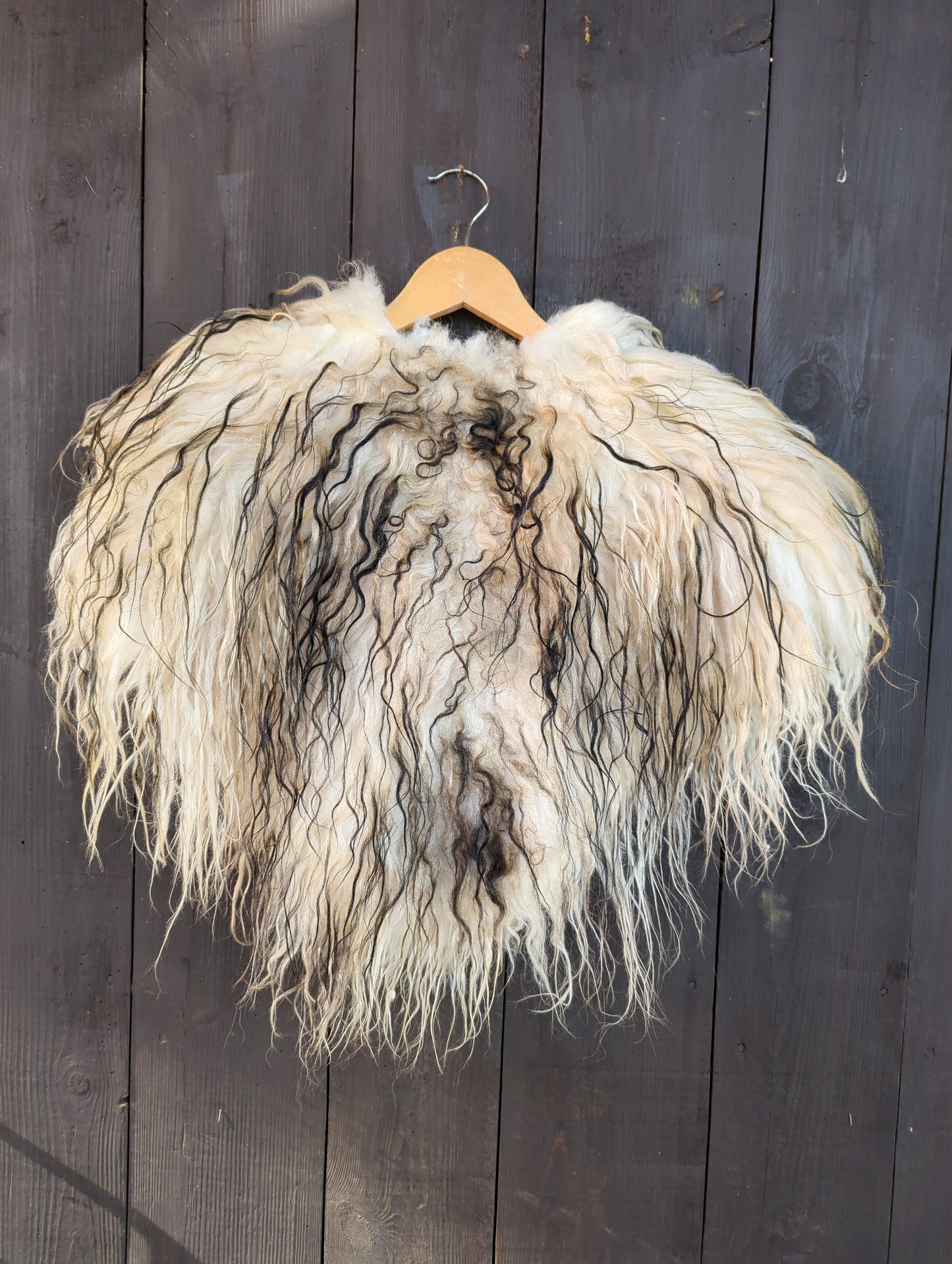 Fellumhang Islandschaf weiß gelockt schwarze Strähnen Einzelstück 545