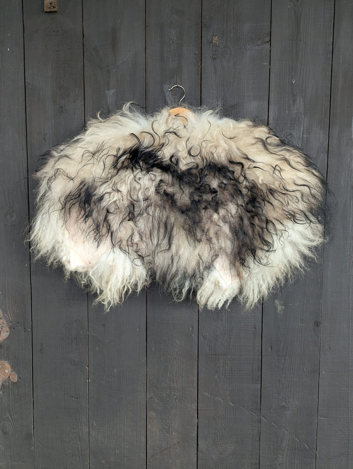 Viking Shoulder Fur XL White Black – Real Icelandic Sheepskin – Wikinger Schulterfell – Rustikal Wild – Einzelstück 639