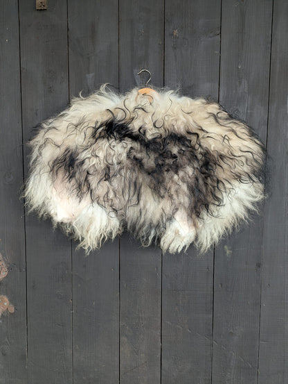 Viking Shoulder Fur XL White Black – Real Icelandic Sheepskin – Wikinger Schulterfell – Rustikal Wild – Einzelstück 639