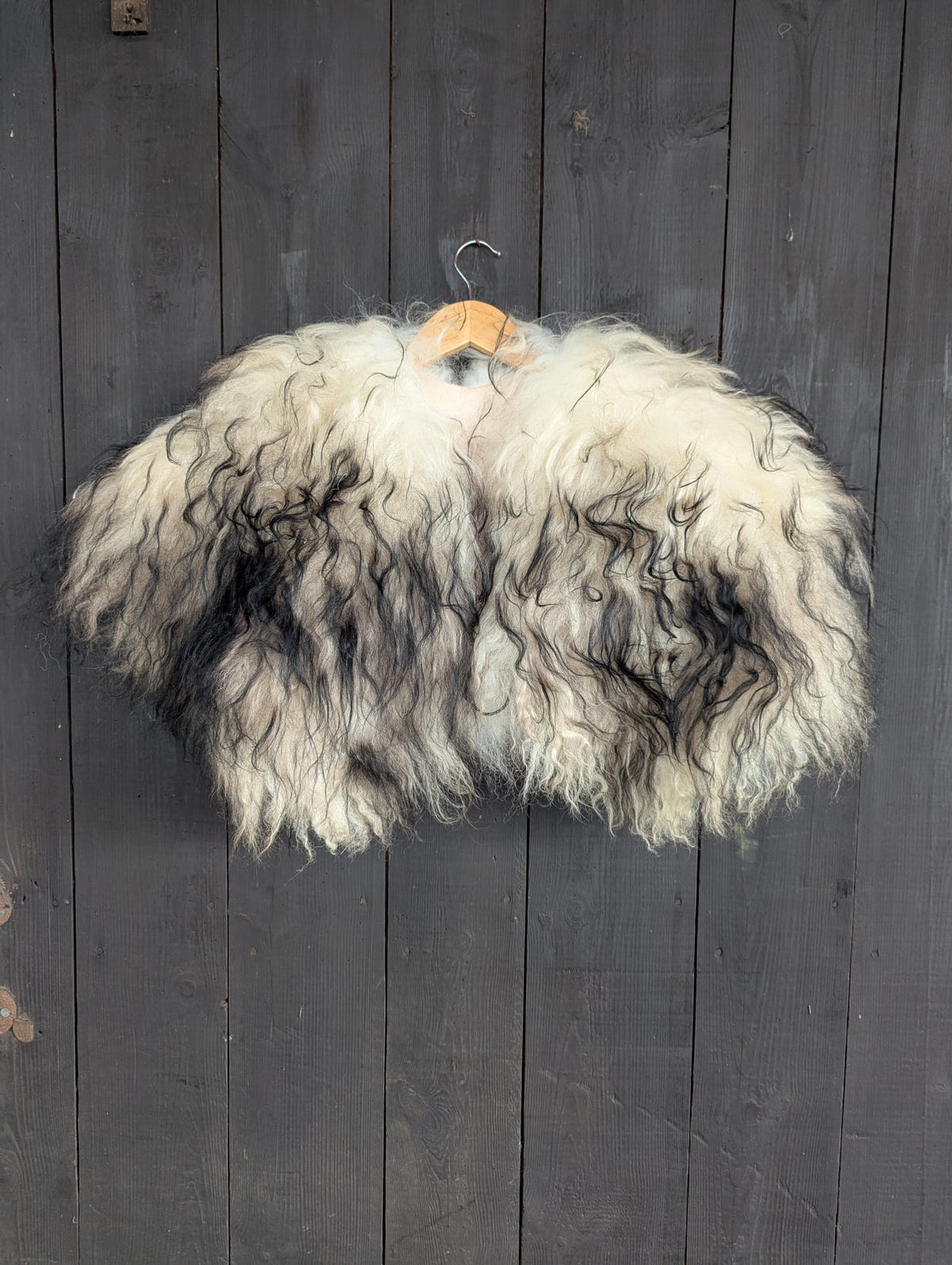 Viking Shoulder Fur XL White Black – Real Icelandic Sheepskin – Wikinger Schulterfell – Rustikal Wild – Einzelstück 639