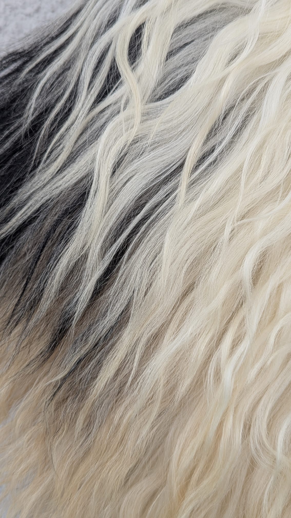 Viking Fur Cloak – Real Sheepskin Shoulder Cape – Wikinger Schulterfell – One of a Kind – Item 859