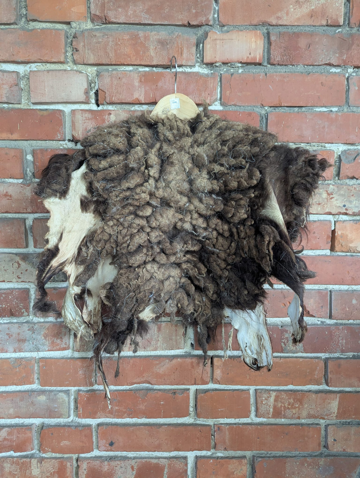 Viking Shoulder Fur Brown – Real Heidschnucke Sheepskin – Wikinger Schulterfell – Mittelalter Halloween – Einzelstück H11