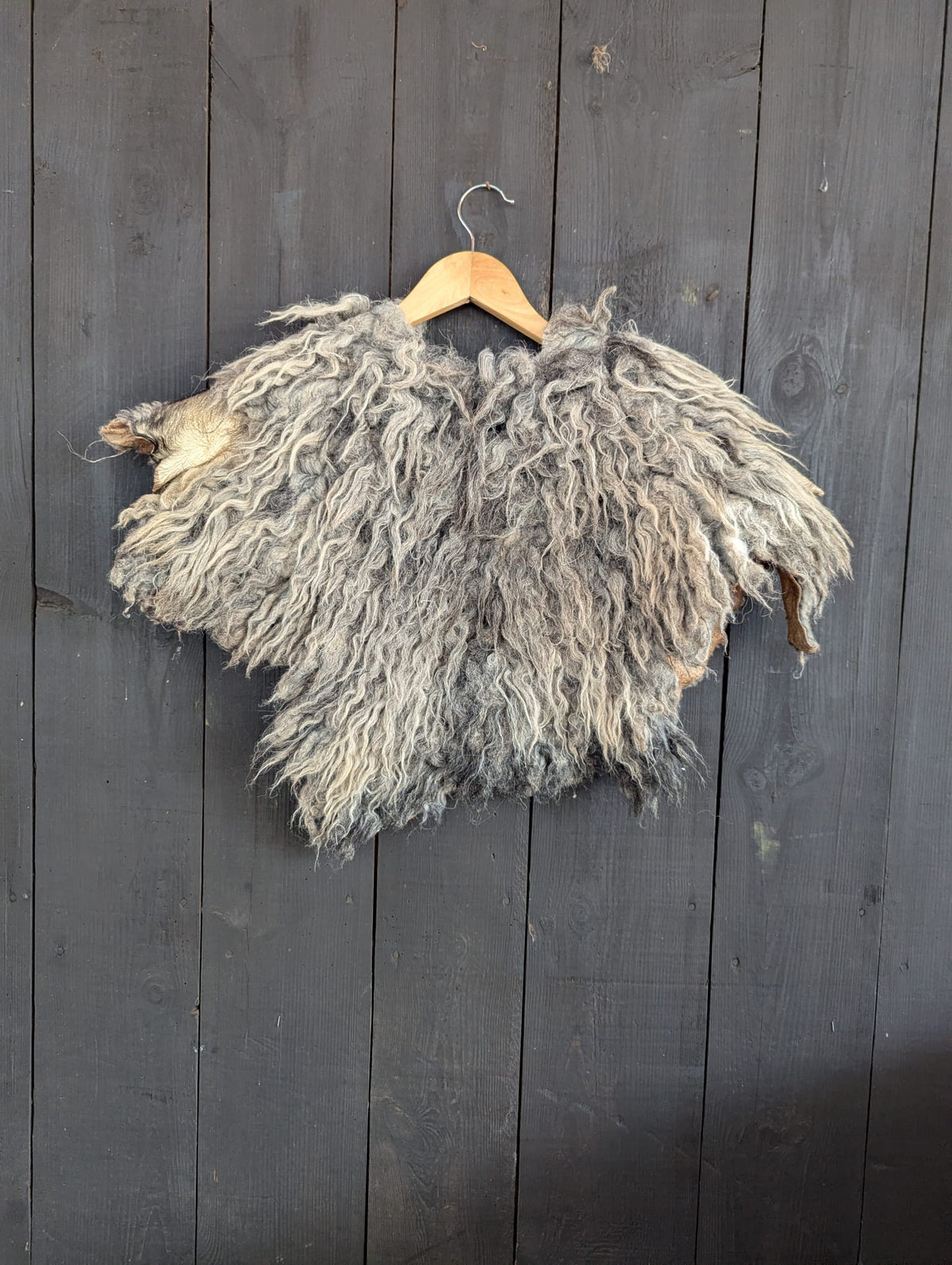 Viking Shoulder Fur Grey – Real Heidschnucke Sheepskin – Wikinger Schulterfell – Mittelalter Cosplay Halloween – Einzelstück H2