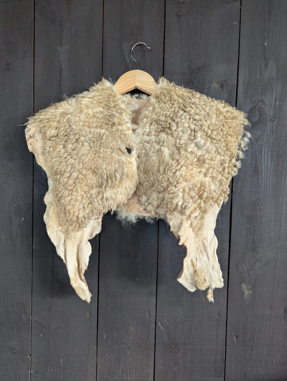 Viking Shoulder Fur Cream – Real Heidschnucke Sheepskin – Wikinger Schulterfell – Mittelalter Halloween – Einzelstück H30