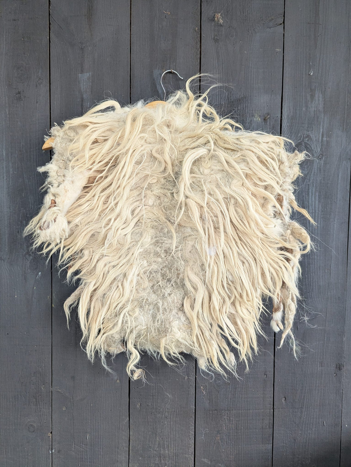 Viking Shoulder Fur Wild – Real Heidschnucke Sheepskin – Wikinger Schulterfell – Mittelalter – Einzelstück H9